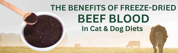 The Benefits of Freeze-Dried Beef Blood in Pet Diets
