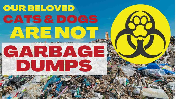 Our Beloved Pets Are Not Garbage Dumps By Sean B. Jones