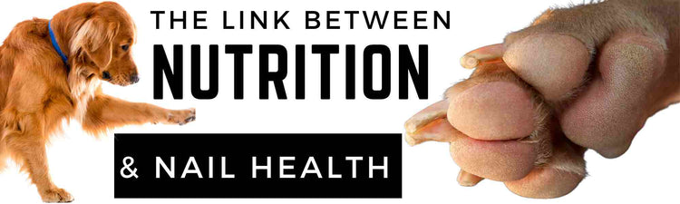 The Link Between Nutrition and Nail Health
