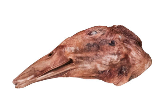 Duck Head - Freeze Dried