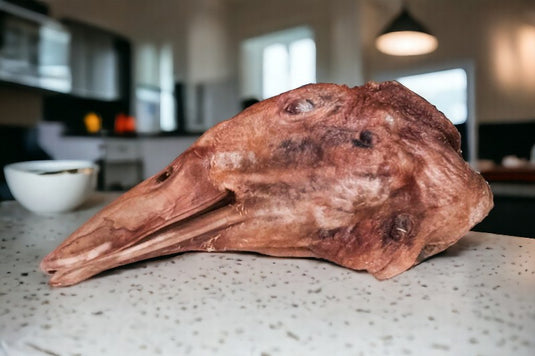 Duck Head - Freeze Dried