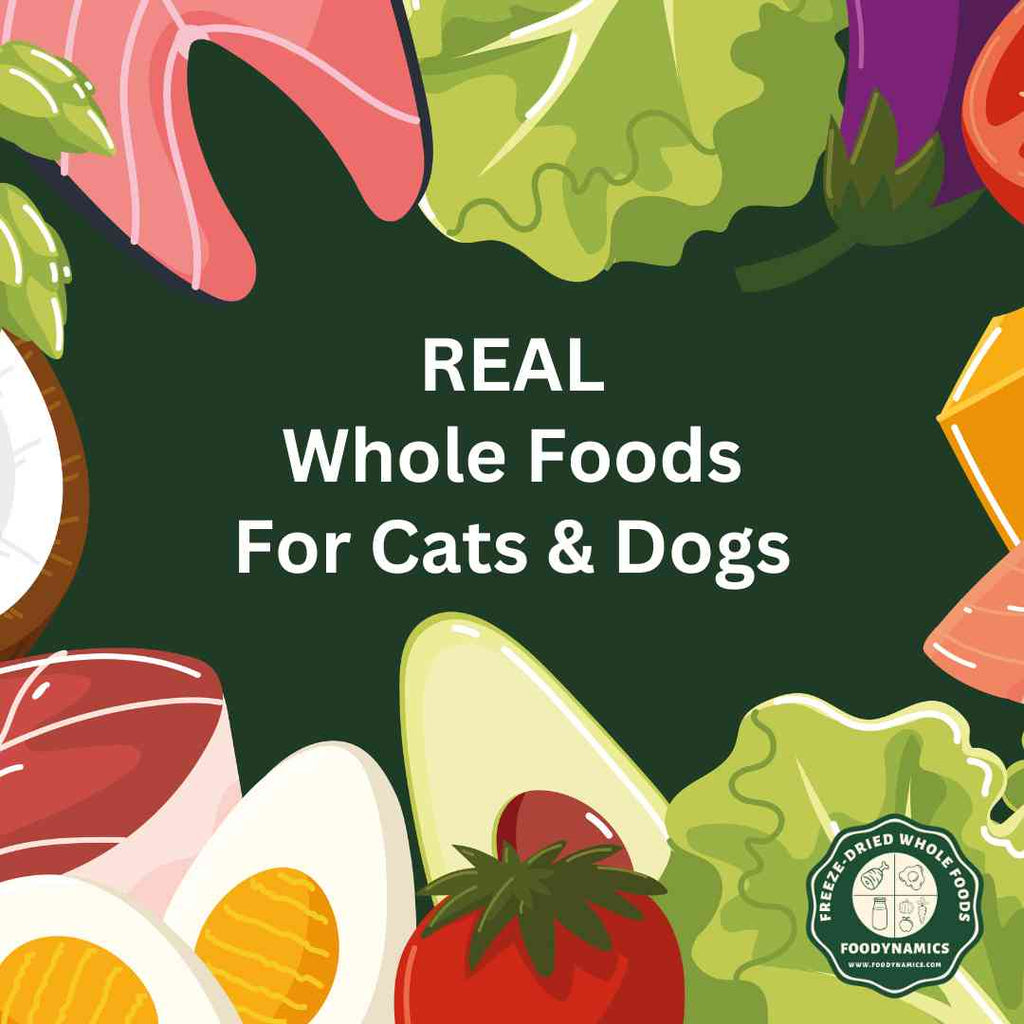 A Call for Whole Foods in Our Pets' Diets