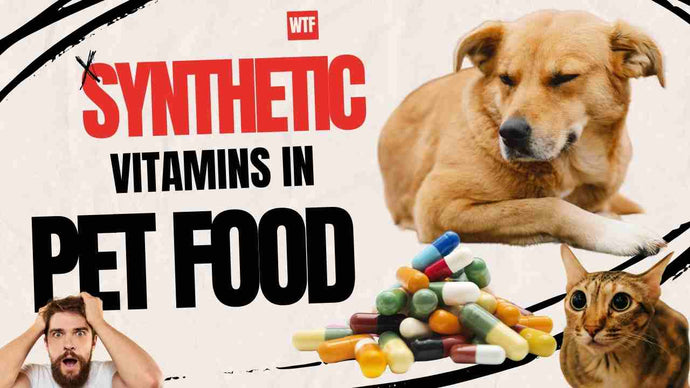 Discover the Real Deal: Why Feeding Your Pets Real Food Outshines Foods With Synthetic Vitamins