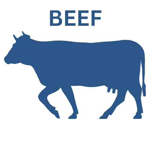 BEEF