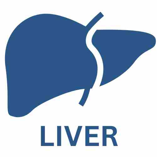 LIVER