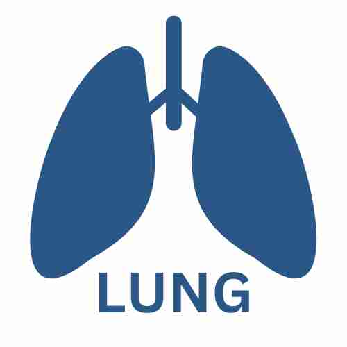 LUNG