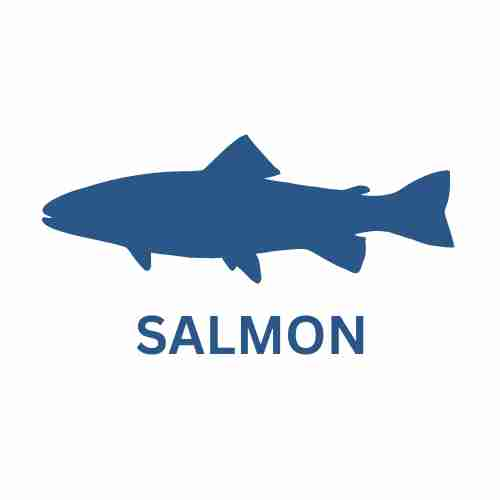 SALMON