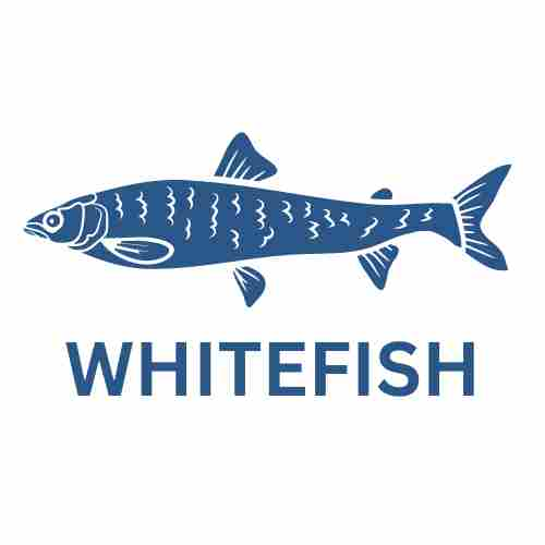 WHITEFISH