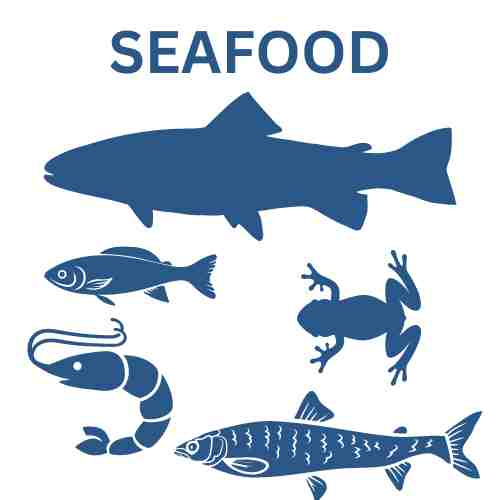 SEAFOOD