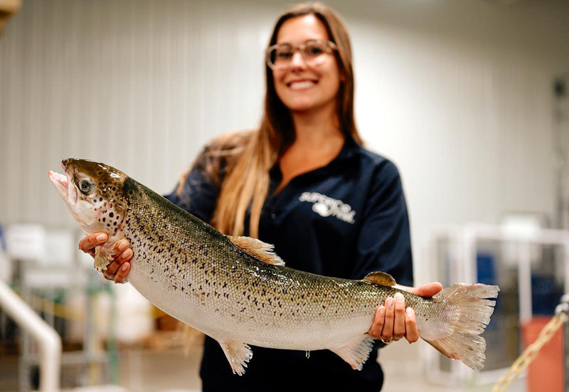 Load image into Gallery viewer, Salmon Bites Freeze-Dried
