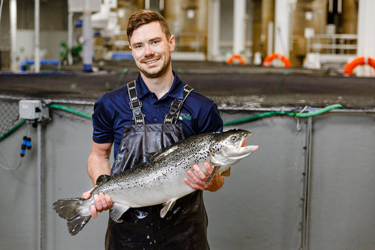 Salmon Bites Freeze-Dried