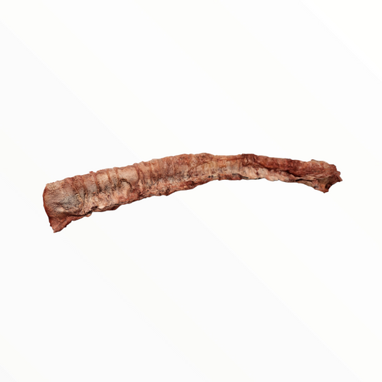 Beef Trachea - Freeze Dried