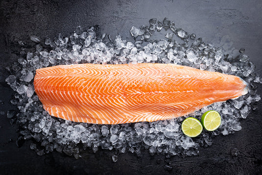 Salmon Bites Freeze-Dried